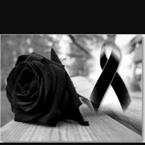 Meet your Posher, Olga